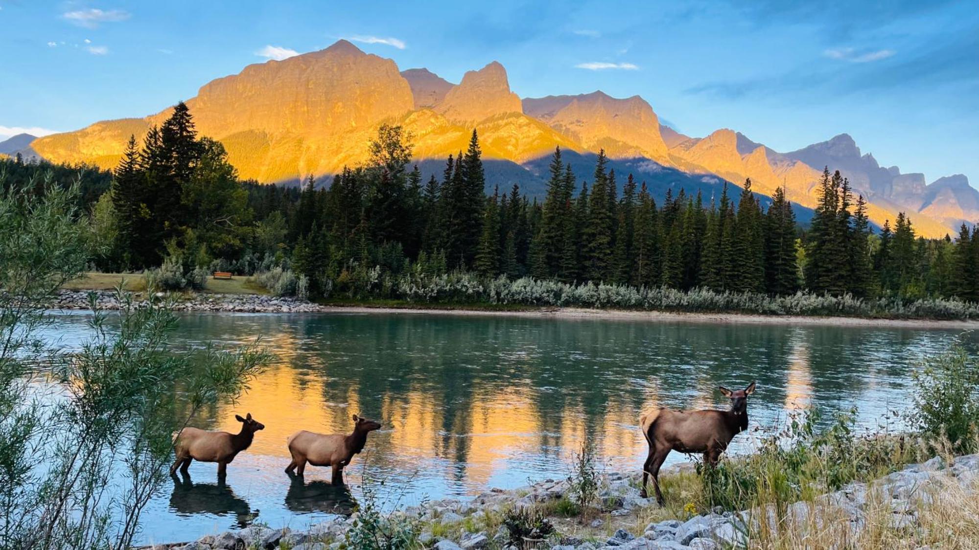 Unit #302 Mountain View 2 Beds In Dt Daire Canmore Dış mekan fotoğraf